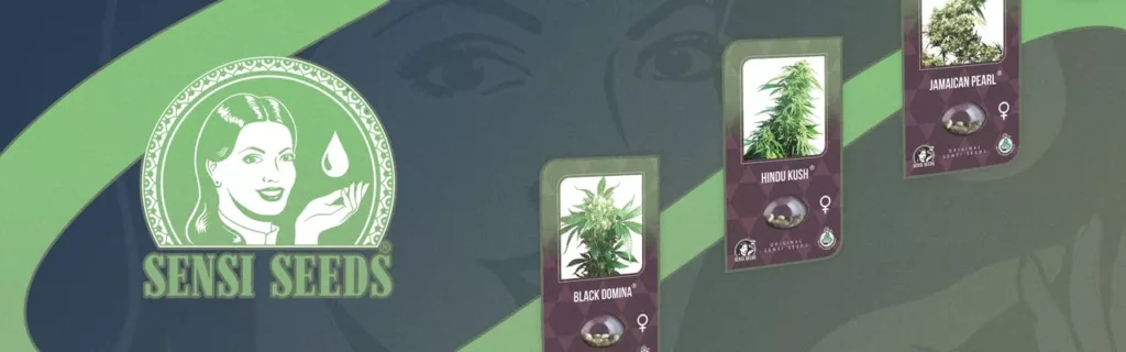 Sensi Seeds
